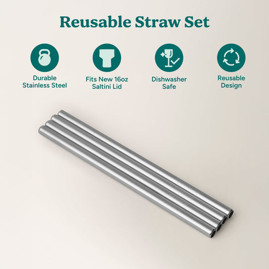 saltini-straw-set-d2 4PK_SaltiniStraws_SS-2.jpg