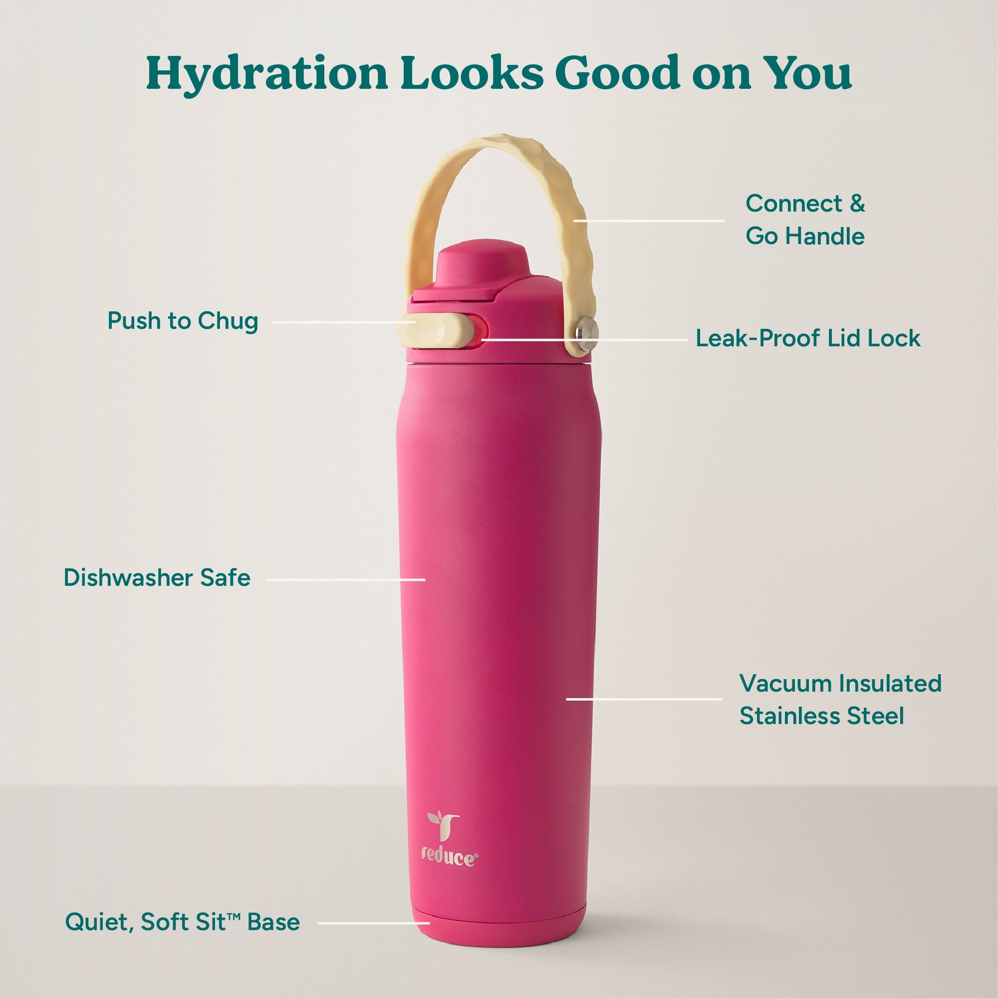 aura-26-oz-a0 Aura_26oz_DragonFruit_PDP_Infographic_2-03.jpg