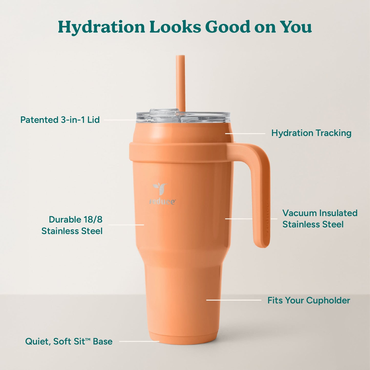 cold1-40-oz-x9 Cold1_40oz_Papaya_Infographic_2.jpg