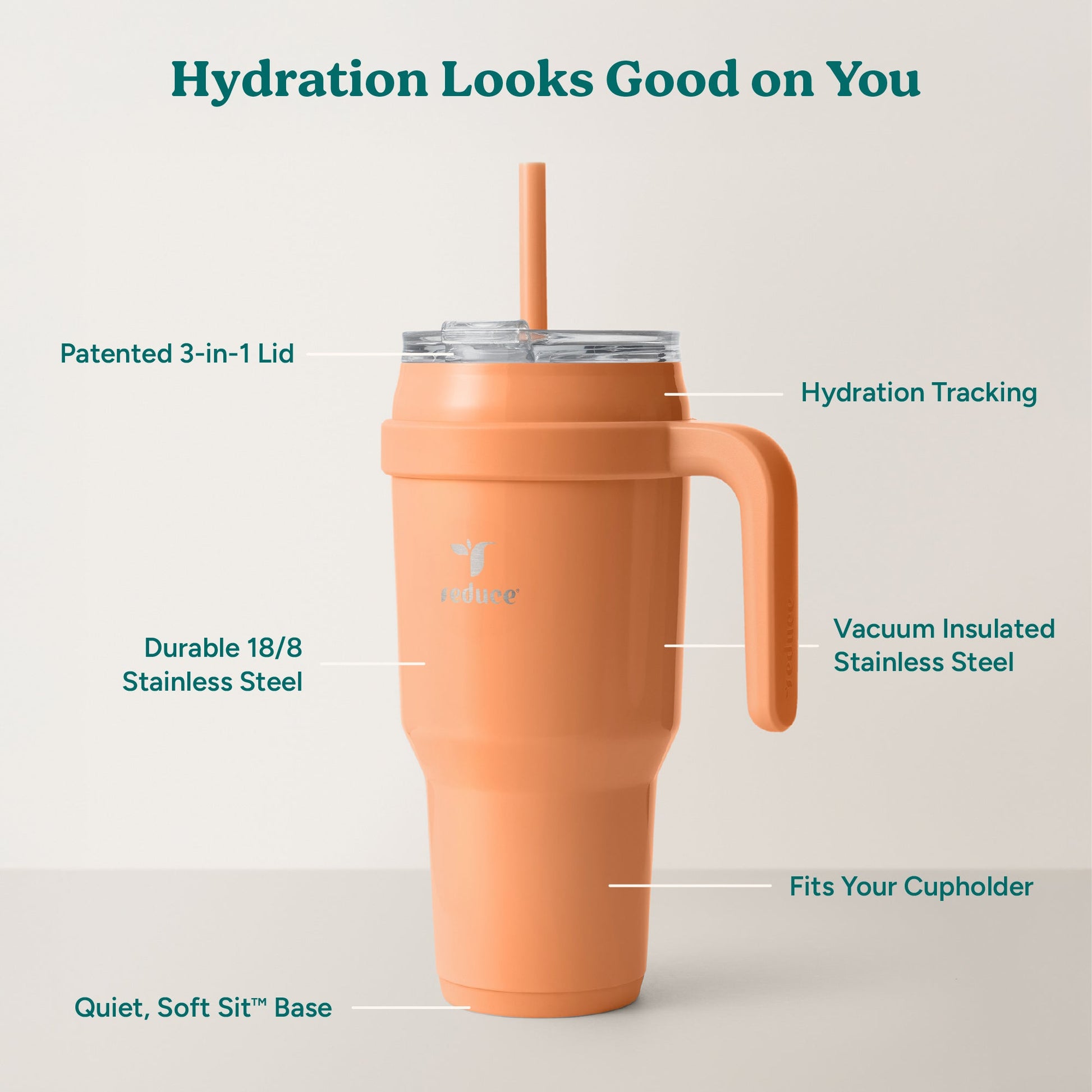 cold1-40-oz-x9 Cold1_40oz_Papaya_Infographic_2.jpg