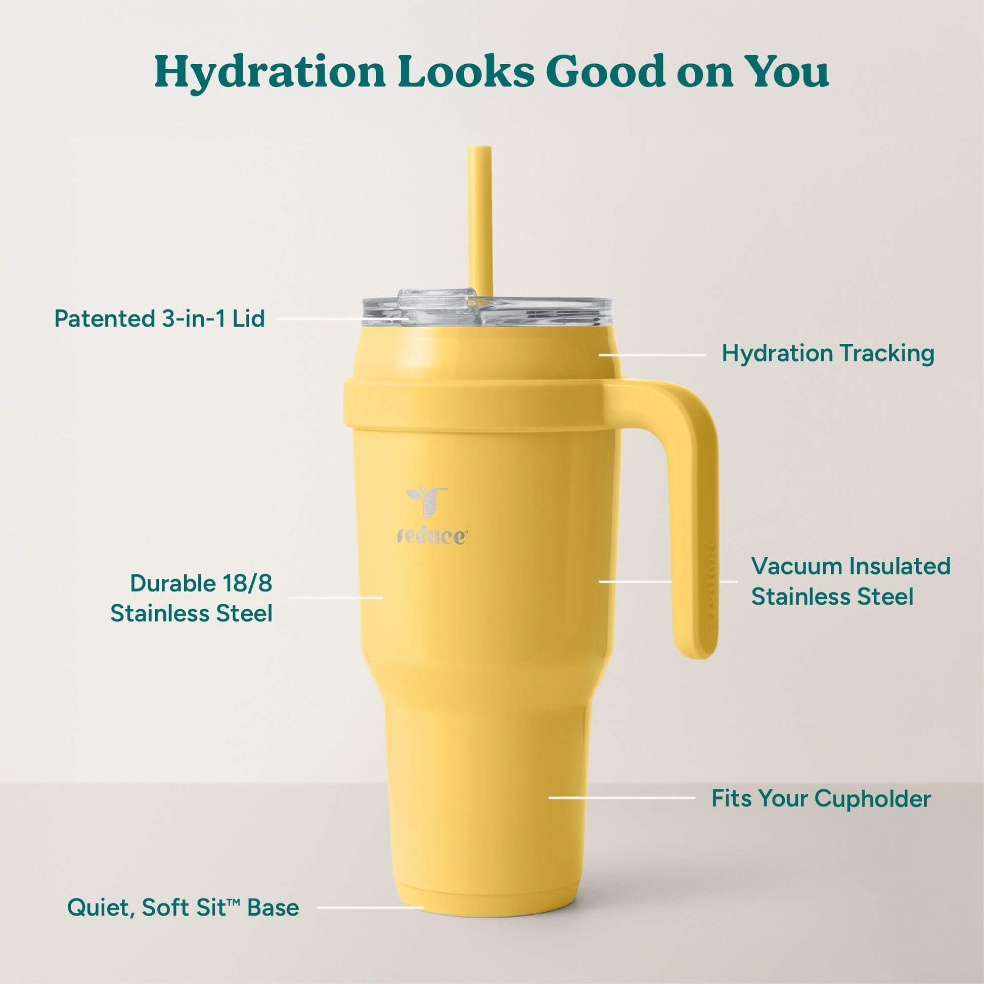 cold1-40-oz-x9 Cold1_40oz_Pineapple_Infographic_2.jpg